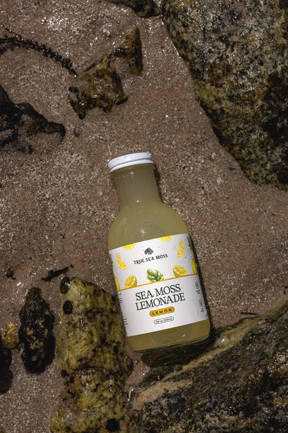 SEA MOSS LEMONADE