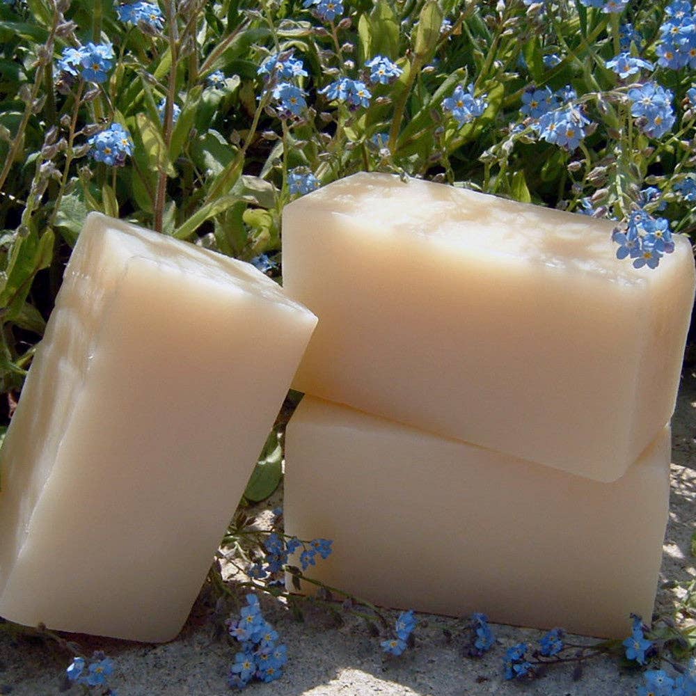 Shampoo Bar: Olive & Babassu